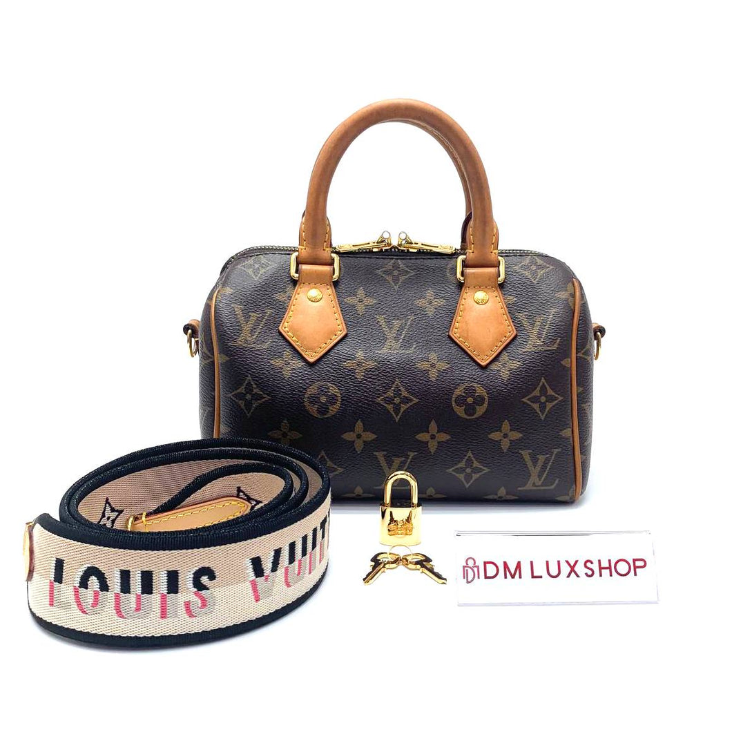 LV Speedy 20 Monogram